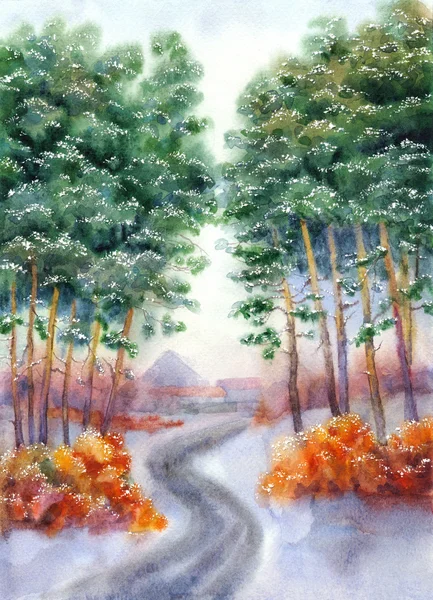 Зимняя дорога в деревню через сосновый лес — стоковое фото