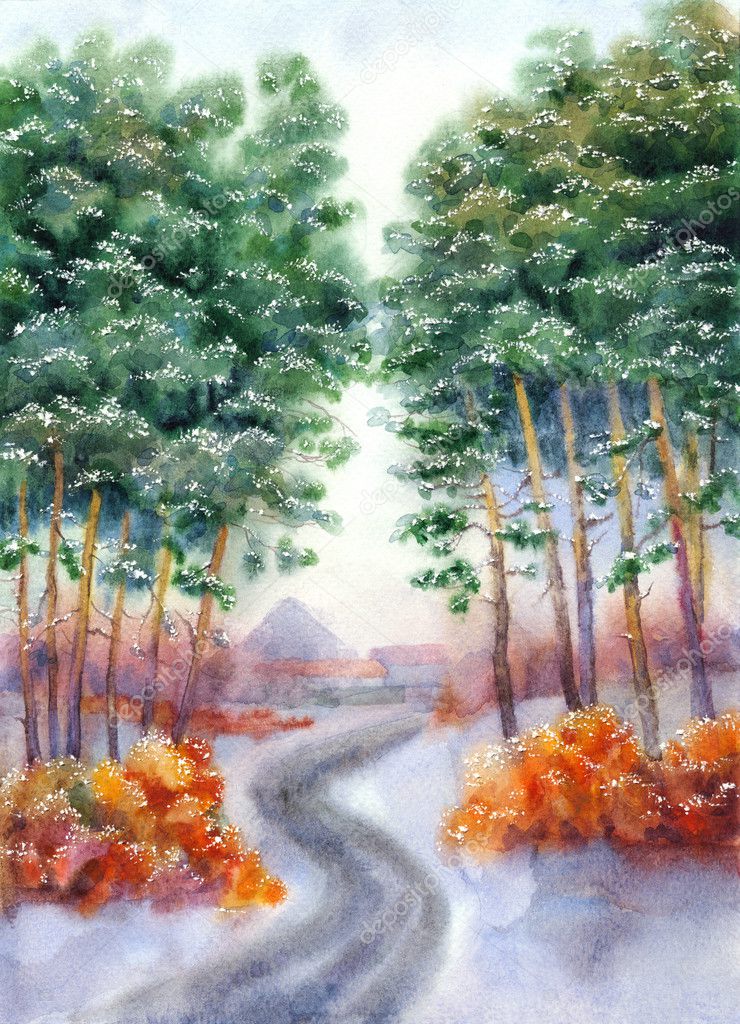 Winter road to the village through a pine forest