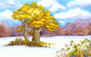 Yellowing oaks in a snowy field clipart