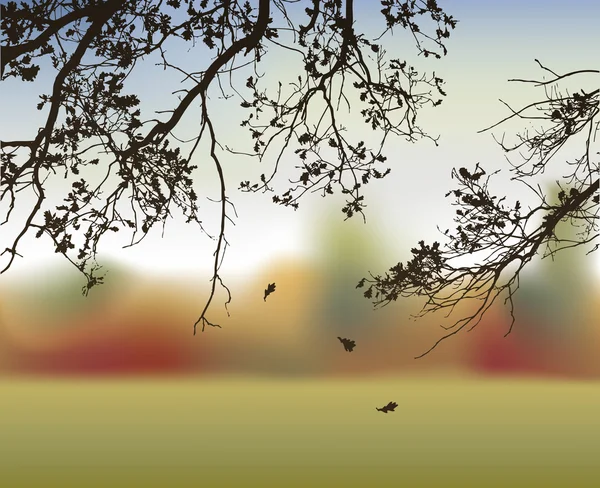 Branches de chêne — Image vectorielle
