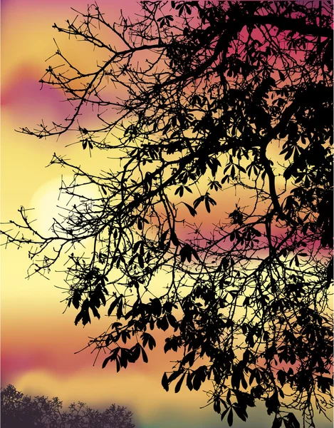 Branches de châtaignier d'automne — Image vectorielle
