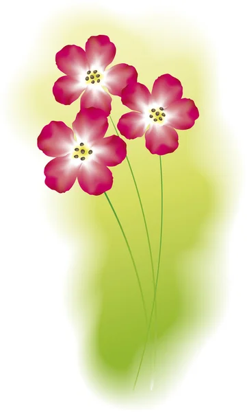 Imagen vectorial de flores de color rojo brillante — Vector de stock