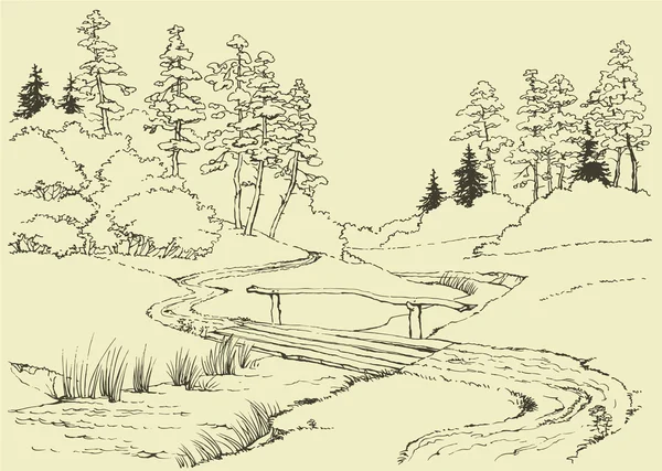 Paysage forestier avec ruisseau — Image vectorielle