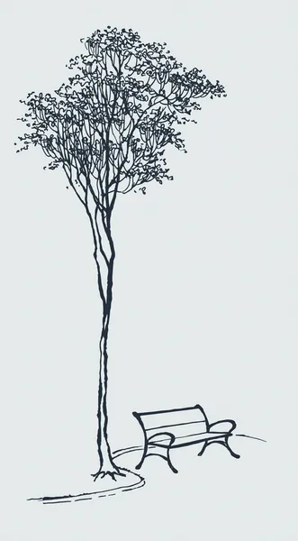 在附近一棵大树的公园长椅 — 图库矢量图片