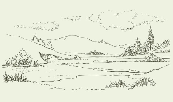 Summer landscape with a river