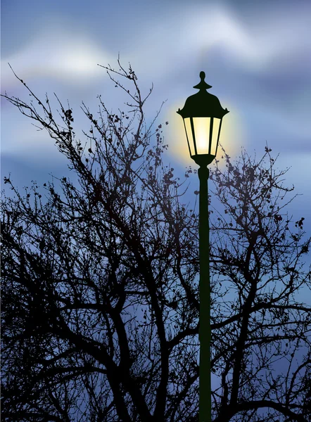 Gloeiende lantaarn in de buurt van de takken — Stockvector