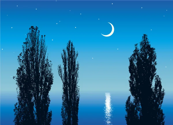 Silhouettes nocturnes de peupliers — Image vectorielle
