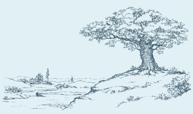 The mighty oak tree grows on top of a hill clipart