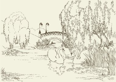 Two swans in the park lake clipart