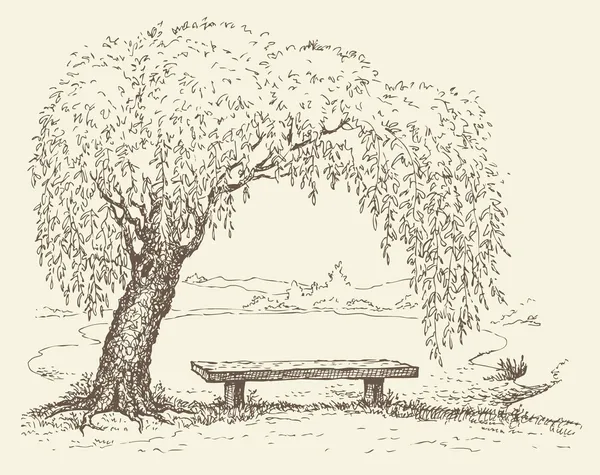 湖のほとりに柳の木の下で古いベンチ — ストックベクタ