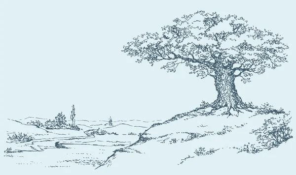 De machtige eiken boom groeit op de top van een heuvel — Stockvector