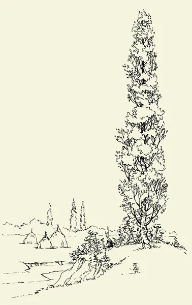 Poplar on the hill — Stock Vector