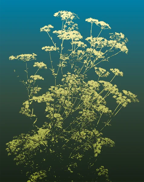 Цветущие травы — стоковый вектор