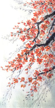 Watercolor painting. Branches of blossoms cherry