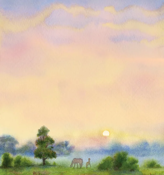 Akvarell bakgrunden. sommar morgon landskap — Stockfoto