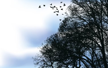 A flock of birds flew off from the branches clipart