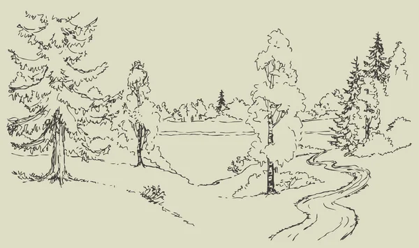 Paisaje vectorial. Camino de tierra al lago del bosque — Archivo Imágenes Vectoriales