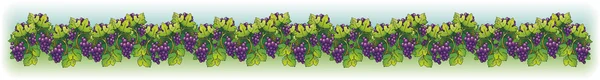 Vector border. Juicy ripe purple grapes on the wrist vine — Stock Vector