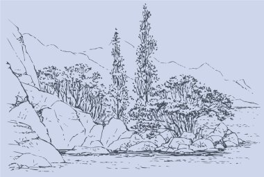 Vector landscape. Trees on the rocky beach clipart