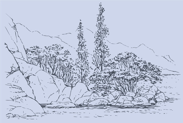 Vector landscape. Trees on the rocky beach