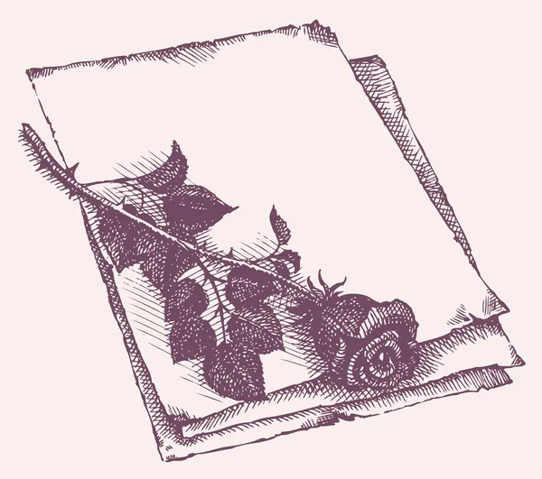 Moldura vetorial de rosas cortadas em uma folha de papel velho — Vetor de Stock