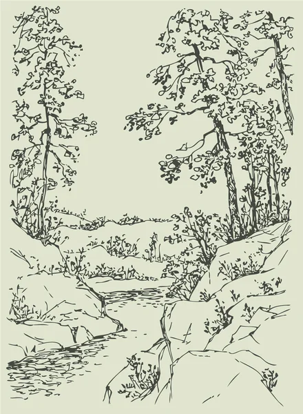 ベクトルの風景です。森の渓流 — ストックベクタ