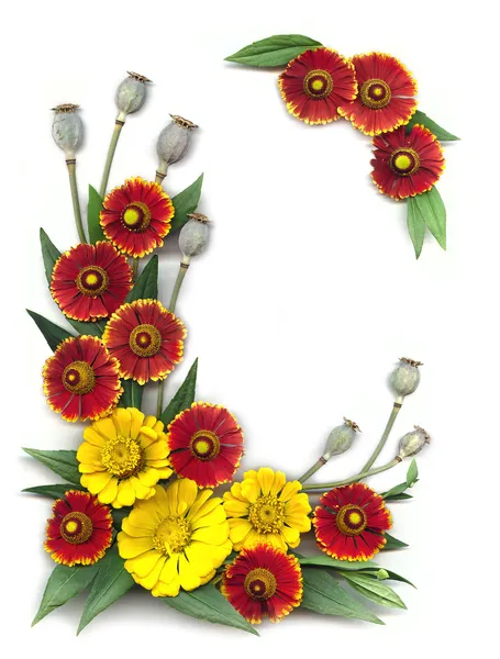 鲜艳的红色和黄色花朵的装饰框架 — 图库照片