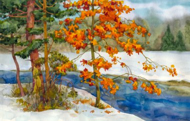 Stream in the winter forest clipart