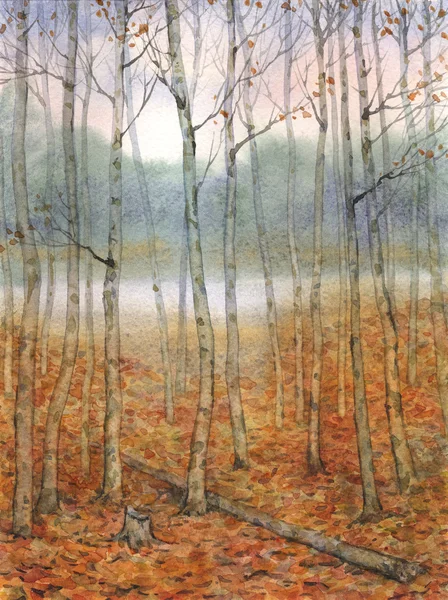 Watercolor landscape. A quiet evening in the autumn forest — Stock Photo, Image