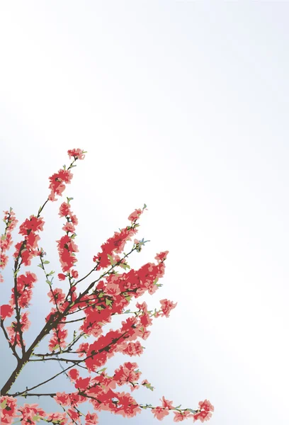 Çiçekli kiraz ağacı dalları ile vektör arka plan — Stok Vektör
