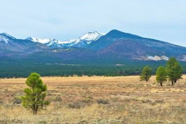 arizona dağlarda kar maskeli.