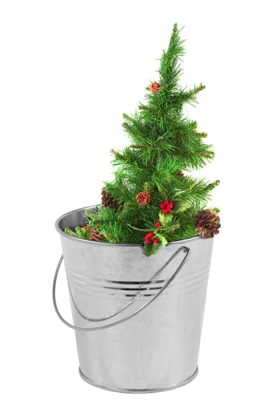 Christmas tree in a metal bucket — Stock Photo, Image