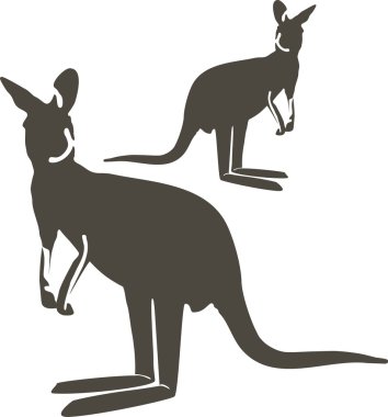 Kangaroo clipart