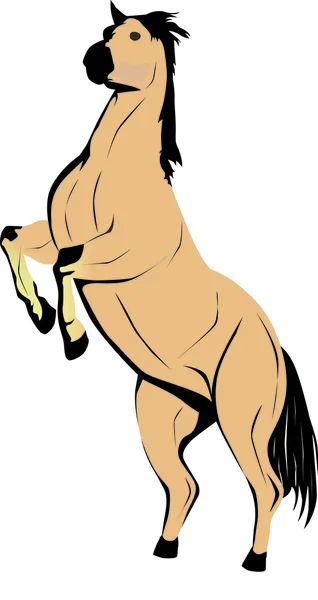 Wild horse — Stock Vector