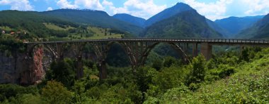 durdevica tara köprüsü üzerinde yeşil tara Kanyon kemerli. Dünya deepe biri