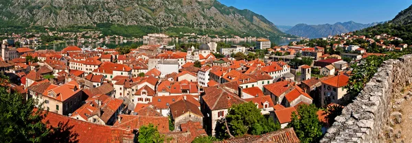 Kotor vanha kaupunki ja Boka Kotorska lahti, Montenegro — kuvapankkivalokuva