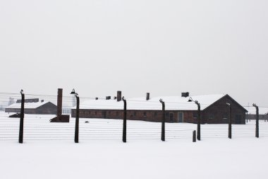 Auschwitz kampı, Polonya