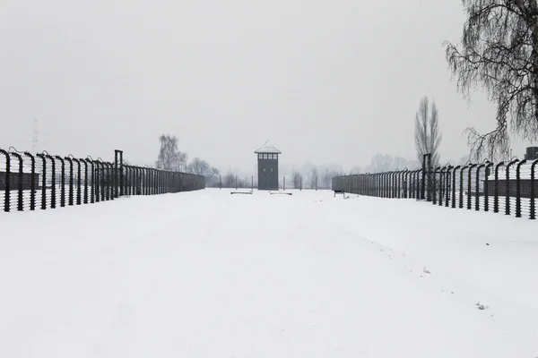 Auschwitz camp, Polen — Stockfoto