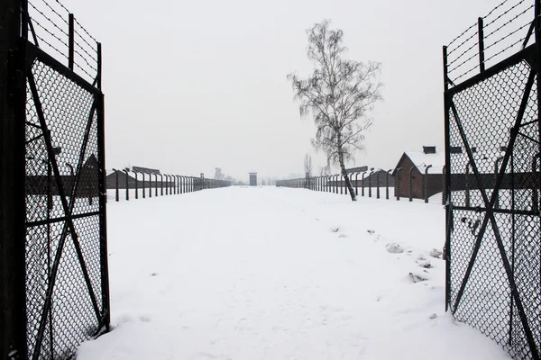 Табір Освенцім, Польща — стокове фото