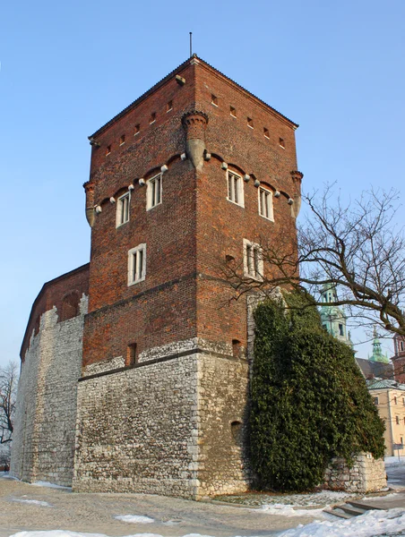 Krakow, Polonya eski kraliyet wawel Kalesi Kulesi