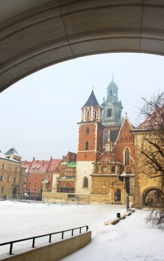 Polonya, Krakow 'daki Wawel Katedrali