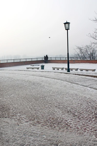 Wawel 성곽, 폴란드 근처 겨울 공원 — 스톡 사진