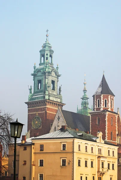 Krakow 'daki Wawel Katedrali — Stok fotoğraf