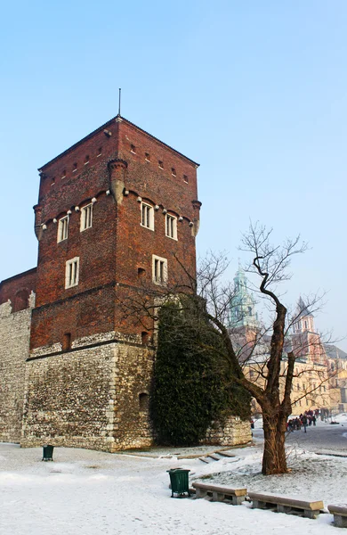 Wawel, krakow kule — Stok fotoğraf