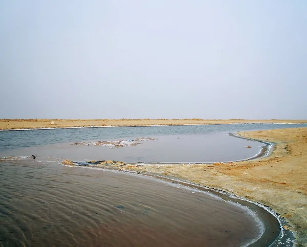 索特 el djerid (在北非地区最大咸水湖）、 突尼斯 — 图库照片