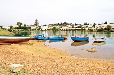 Kartaca, Tunus köyü yakınlarında tekneler