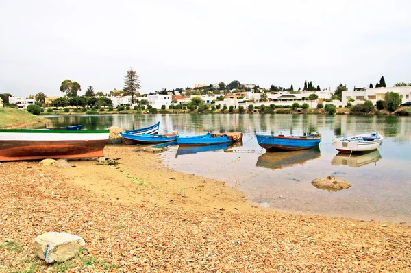 Barcos cerca de pueblo en Cartago, Túnez — Foto de Stock