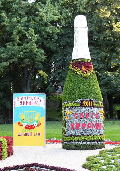 Exposición tradicional de 56 flores programada para el Día de la Independencia — Foto de Stock