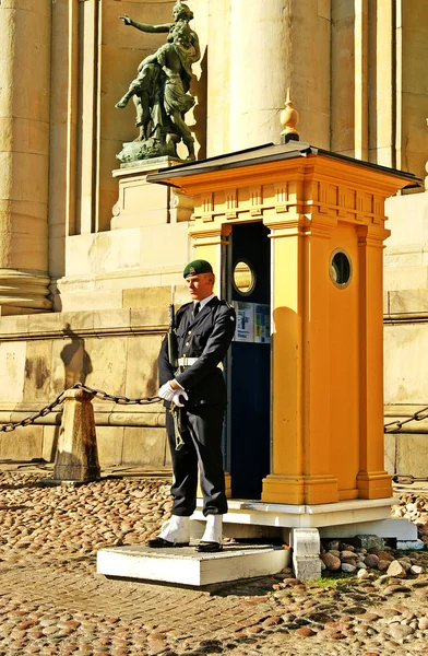 Royal Guard of Sweden — Stock Photo, Image