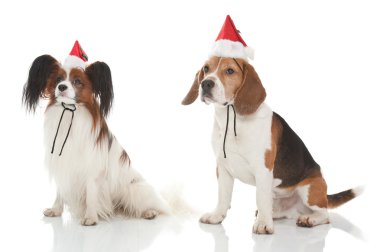 Christmas dogs clipart